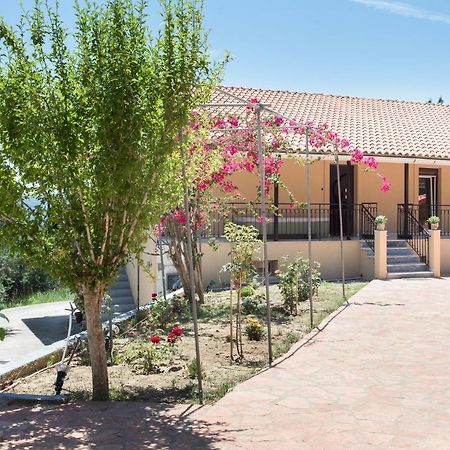 Willa Olive Tree House Evropouloi Zewnętrze zdjęcie