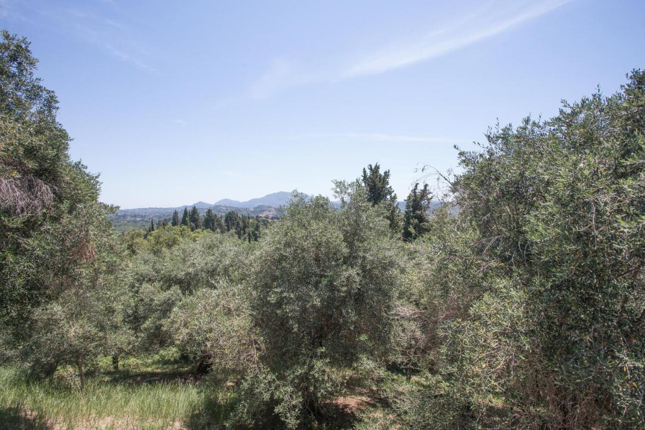 Willa Olive Tree House Evropouloi Zewnętrze zdjęcie